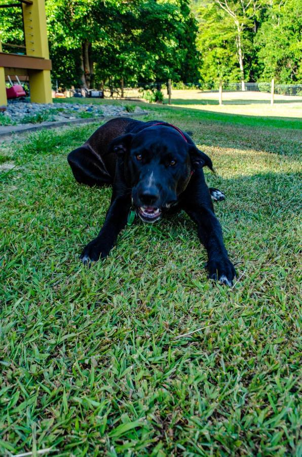 Cairns Homestead Redlynch Pet And Family Friendly Εξωτερικό φωτογραφία